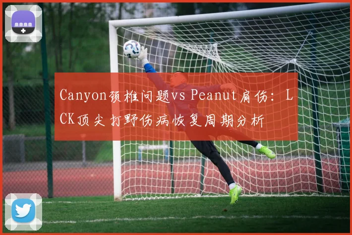 Canyon颈椎问题vs Peanut肩伤：LCK顶尖打野伤病恢复周期分析